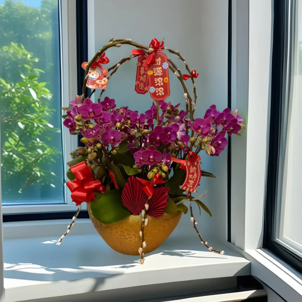 新年蘭花 O-001