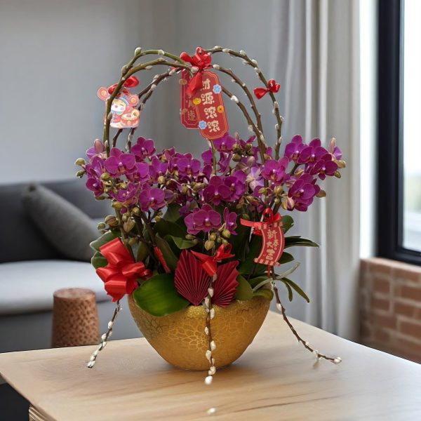 新年蘭花 O-005