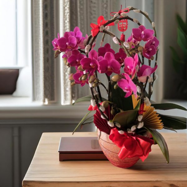 新年蘭花 O-006