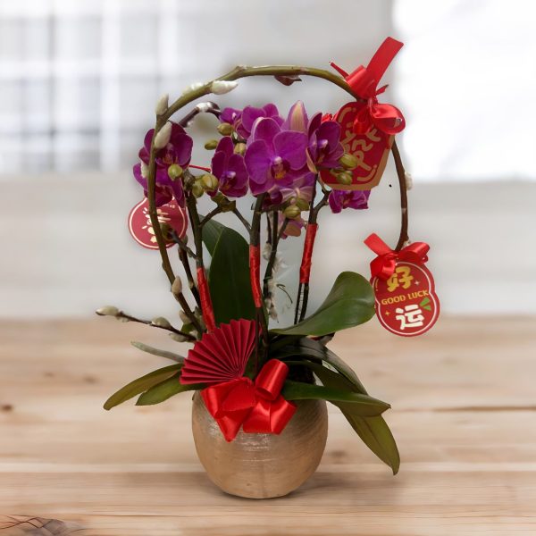 新年蘭花 O-010