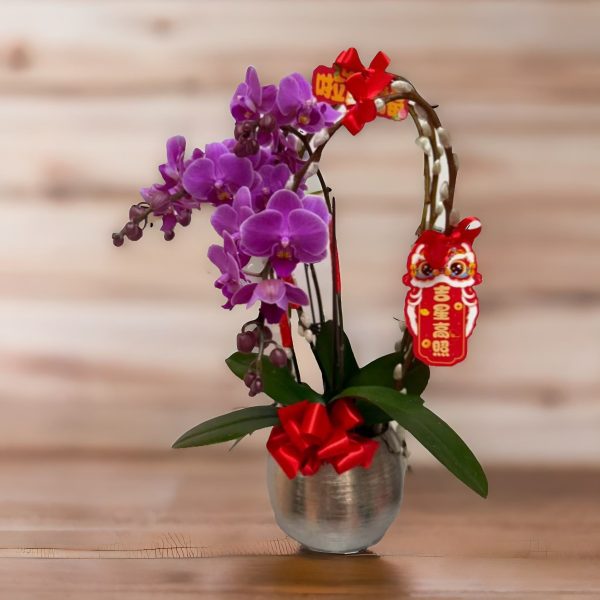 新年蘭花 O-015