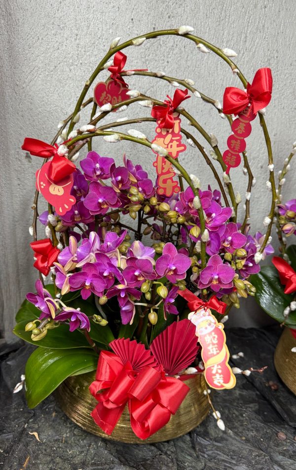 新年蘭花 O-021