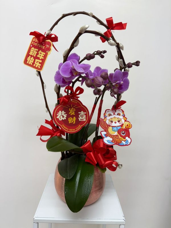 新年蘭花 O-017