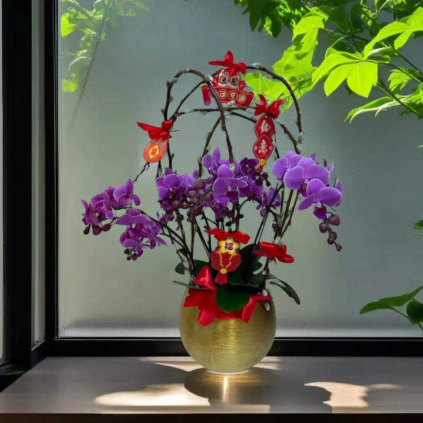 新年蘭花 O-013