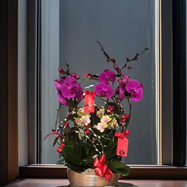 新年蘭花 O-030
