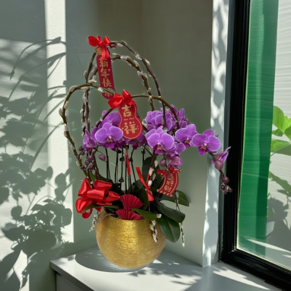 新年蘭花 O-034