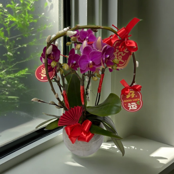 新年蘭花 O-033