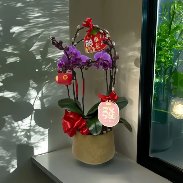 新年蘭花 O-027